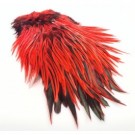 red thumbnail