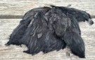 FF rooster feather short thumbnail