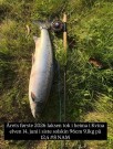 Sesong 2026 Norge: Gratulerer Peter 9,1kg Kvina, Slawek 9kg 97cm Drammenselva og  Eivind 5kg 75cm Stjørdalselva!  thumbnail