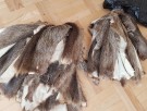 TM nutria naturell i store biter, hårlengde til 6cm!  thumbnail