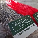 Vi er Ewing hackle farms leverandør i Norge!  thumbnail