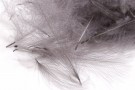 slate grey thumbnail