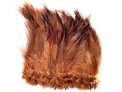 Saltwater Neck Hackle Fiery Brown- NYHET! thumbnail