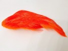 hot orange thumbnail
