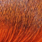 Premo Deerhair- NYHET!  thumbnail