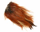 Coq de Leon Bronze Whiting Saddle- NYHET! thumbnail
