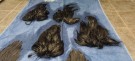HEN SADDLES OG MARABOU PATCHES BLE FARGET AV MØRK SVART! Vi farget 4stk store marabou patch igjen.  thumbnail