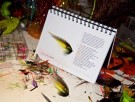 ‘My Salmon Flies’ by Mikael Frödin! på lager!  thumbnail