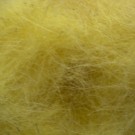 Sulphurea thumbnail