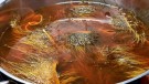 Villsvin ble farget av deep hot orange, sunburst, fiery brown thumbnail