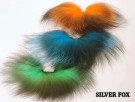 Silver fox  thumbnail