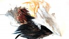 Saddle trim pack mixed Root River Hackle thumbnail