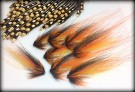 Shrimp isbjørnhår cascade TM variant thumbnail