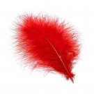 red thumbnail