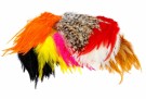 STRUNG SADDLE HACKLE- NYHET25 thumbnail