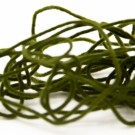olive thumbnail