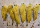Hastefarging- isb av fluo yellow!  thumbnail