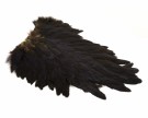 Whiting American Hen Saddle black- NY PÅFYLL! thumbnail