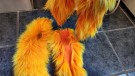 TM supreme rev av sunburst oransje er ferdig farget! thumbnail