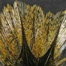 Coq De Leon grade 1- Hareline thumbnail