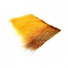 hot orange thumbnail