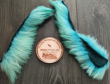 Isbjørnhår ble farget av lys blå! 