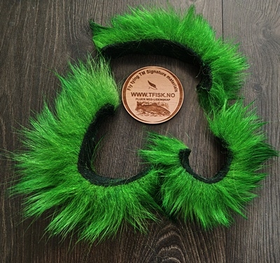 Isbjørnhår av green highlander ble farget!