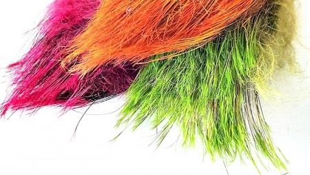 SNS Wild Boar feelers- NYHET24