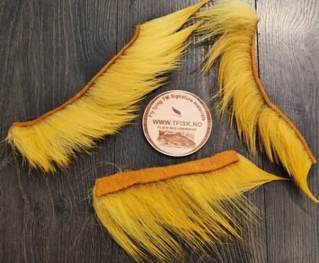 Isbjørnhår ble farget av sunurst yellow og sunburst orange! 