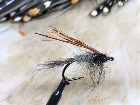TM nymfe sort