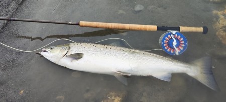To laks på TM sunray 72cm 3,5kg og 62cm 2,4kg!