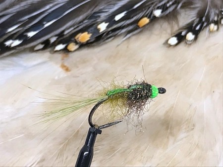 TM nymfe olive