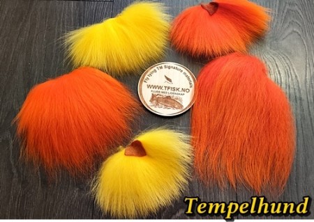 TM tempelhund under farging! 