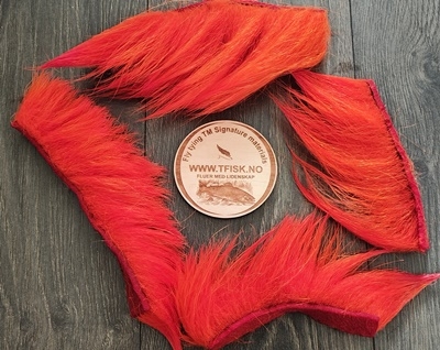 Isbjørnhår ble farget av fire hot orange! 