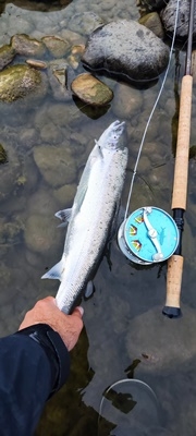 1,9kg 58cm på TM sunray brun 5cm! 