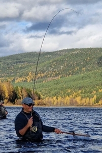 En magisk helg med fluefiske. Tfisk team fisket i Glomma. Slutten av sesongen. 
