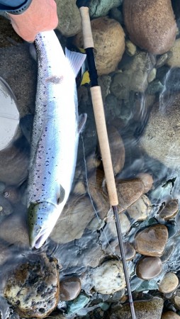 Gratulerer Ole-Petter  3,3kg laks 70cm på TM sunray shadow! 