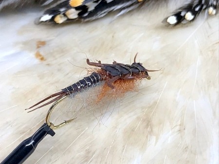 TM nymfe Natural