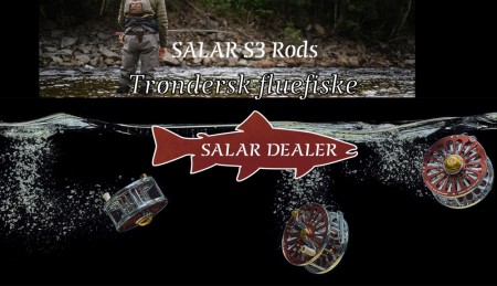 Salar Dealer i Trøndelag 