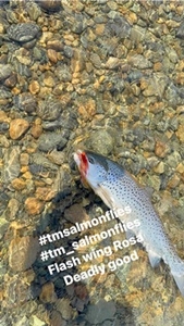 Gratulerer Magnus 4,1kg 75cm tatt på sunray og Carlos- TM rosa flue igjen! 