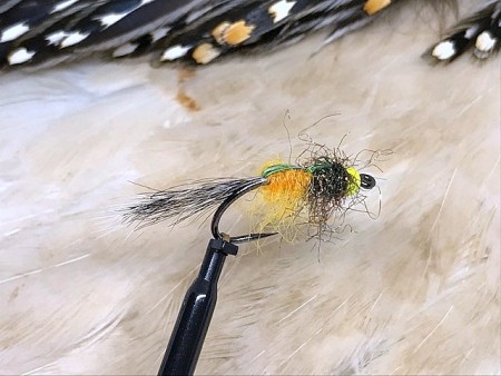 TM nymfe gul peacock