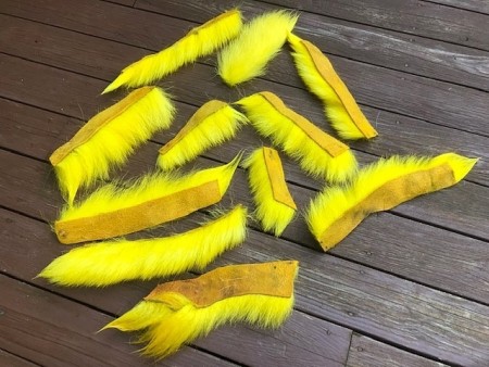 Isbjørnhår ble farget av fluo yellow 