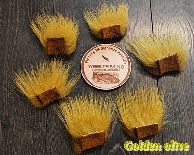 Isbjørnhår ble farget av golden olive!