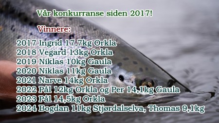 Sesongen nærmer seg! Bli i vår konkurranse 2025! 