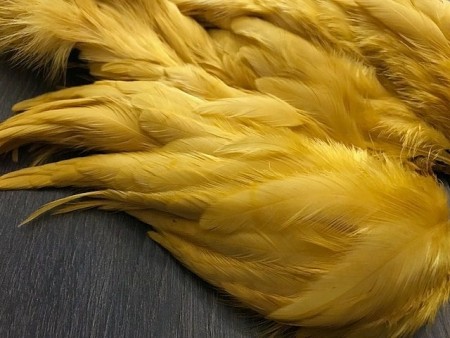 Marabou, rooster, hen nakker ble farget av banan! 