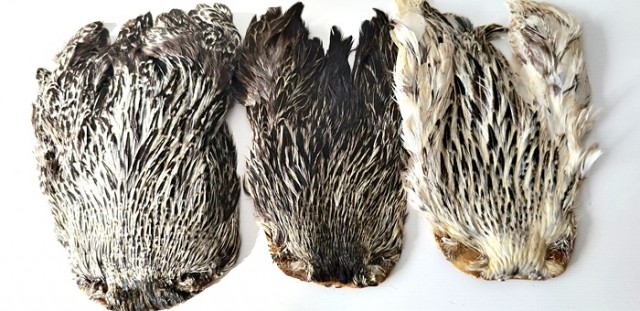 hen saddle grizzly