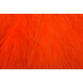 hot orange