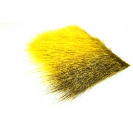 sunburst yellow