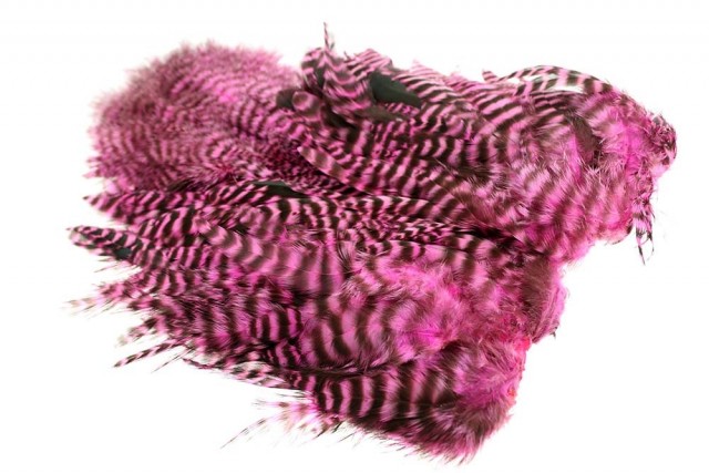grizzly pink