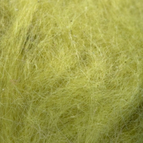 ligh olive